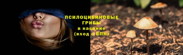 mdpv Гусев