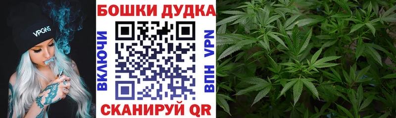 Канабис гибрид  KRAKEN ссылка  Шиханы 